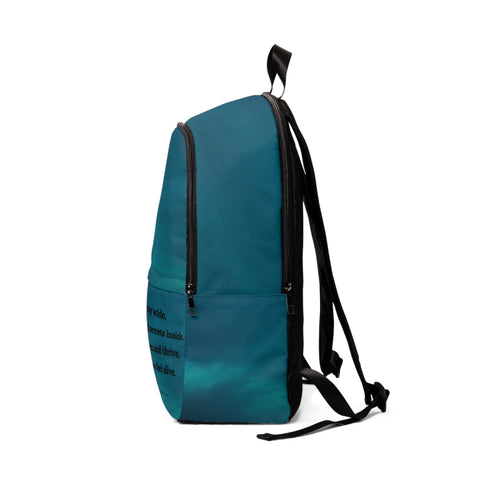 Giovanni della Robbia - Backpack