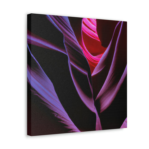 and sweet
Fluorescent Canyons