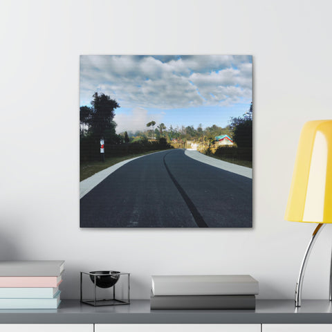 and creative
Trailblaze