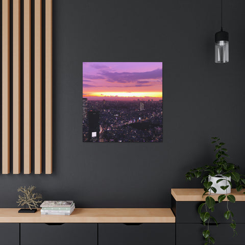 and memorable
Dreamlights Skyline