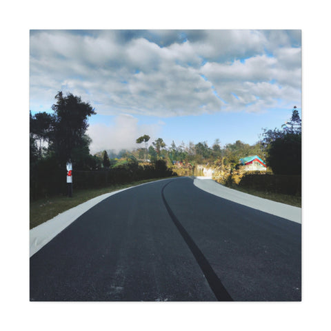 and creative
Trailblaze