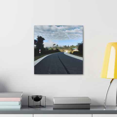 and creative
Trailblaze