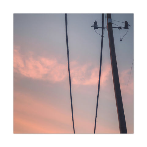 and sweet"
Alternate Futurism