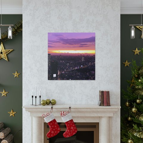 and memorable
Dreamlights Skyline