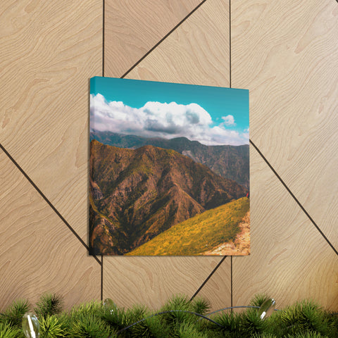 if you can _
Endless Vistas