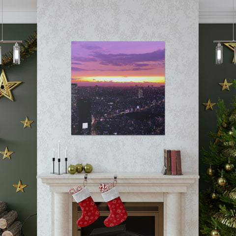 and memorable
Dreamlights Skyline