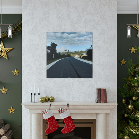 and creative
Trailblaze