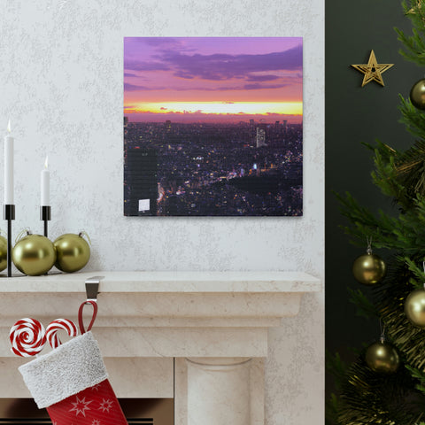 and memorable
Dreamlights Skyline