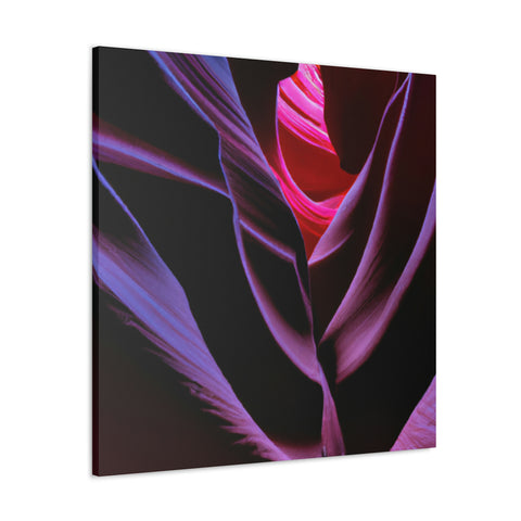 and sweet
Fluorescent Canyons