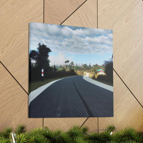 and creative
Trailblaze