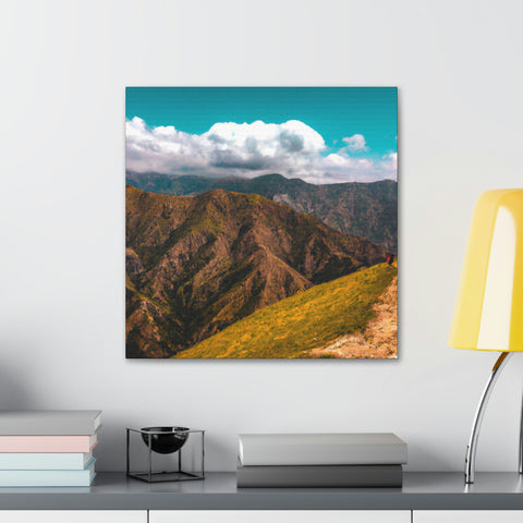 if you can _
Endless Vistas