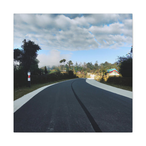 and creative
Trailblaze