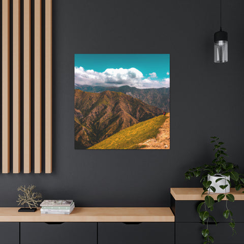 if you can _
Endless Vistas