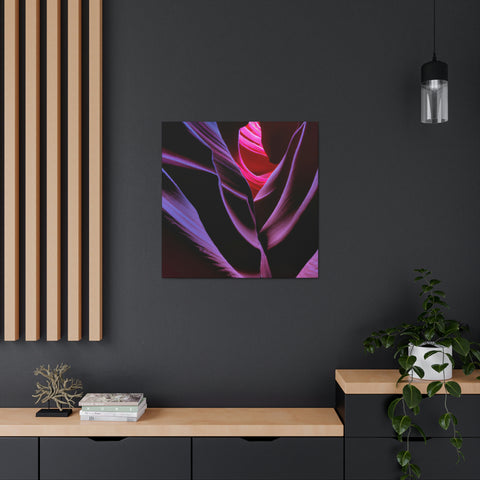 and sweet
Fluorescent Canyons