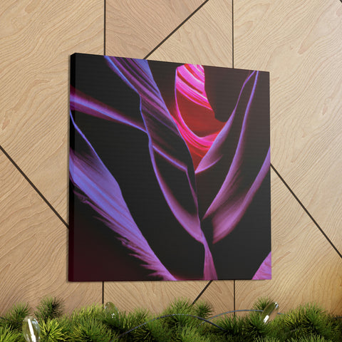 and sweet
Fluorescent Canyons