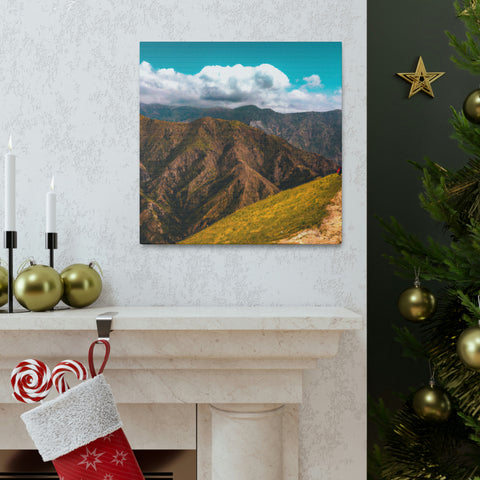 if you can _
Endless Vistas