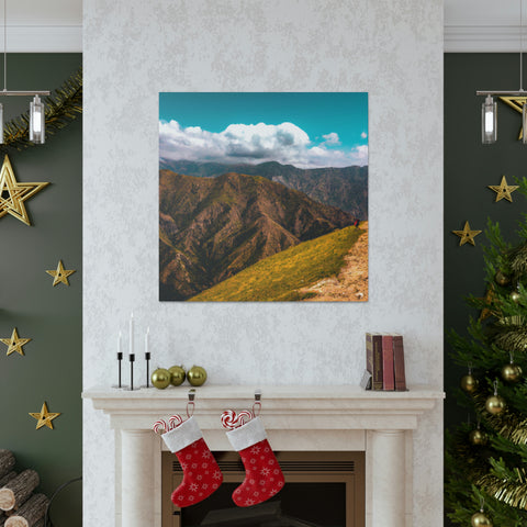 if you can _
Endless Vistas