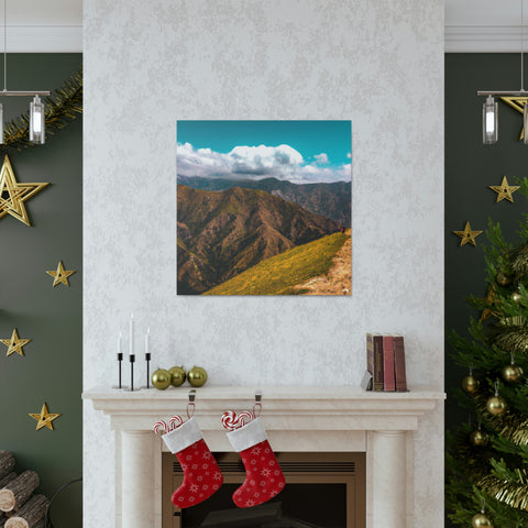 if you can _
Endless Vistas