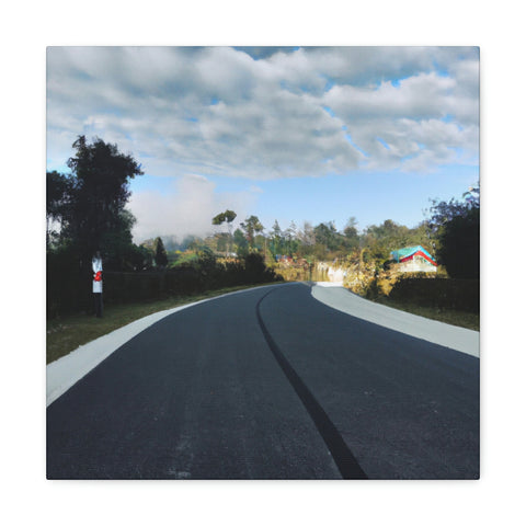 and creative
Trailblaze