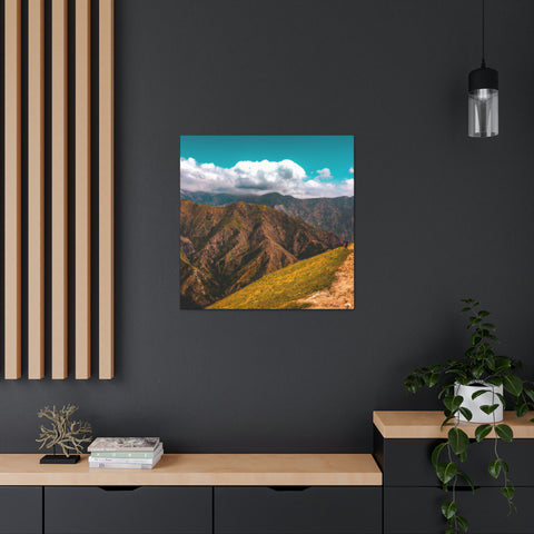 if you can _
Endless Vistas