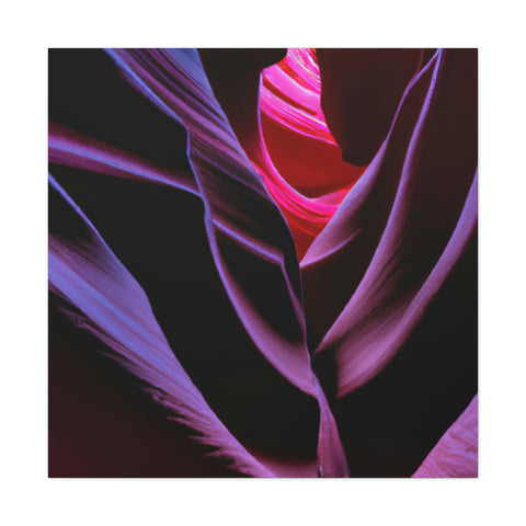 and sweet
Fluorescent Canyons