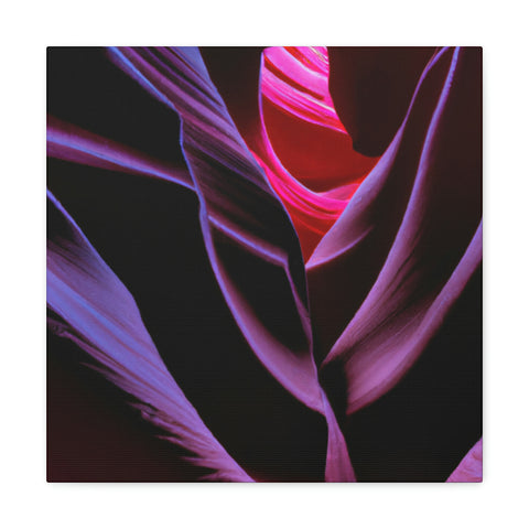 and sweet
Fluorescent Canyons