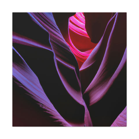 and sweet
Fluorescent Canyons