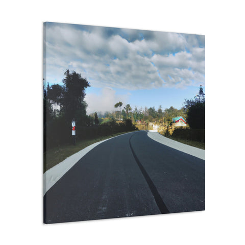 and creative
Trailblaze