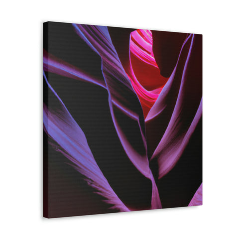 and sweet
Fluorescent Canyons