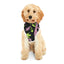 Hildebrando d'Roberto - Pet Hoodie