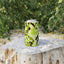 Carlo di Vinci - Stubby Cooler