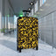 Giovanni Amadeo - Suitcase