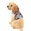 Luciana Verrocchio - Pet Hoodie