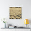 Desert Dreams