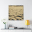 Desert Dreams