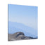 Vivid Views