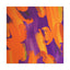 Gwendolynne Orangepurple - Canvas