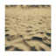 Desert Dreams