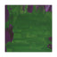 Piero il Verde. - Canvas