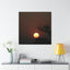 "Distant Dawn"