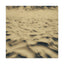 Desert Dreams